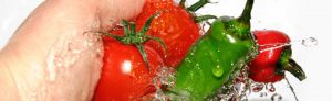 safety for food presentato