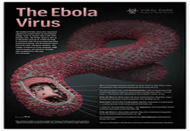 Ebola Ansys