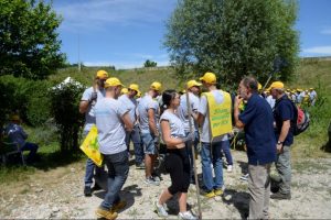 Xylem gruppo