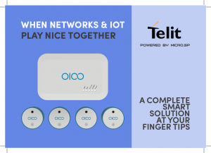 Ol Network_embeddedworld2019 Telit
