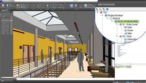 BIM Manager