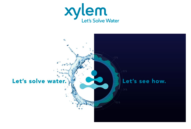 xylem